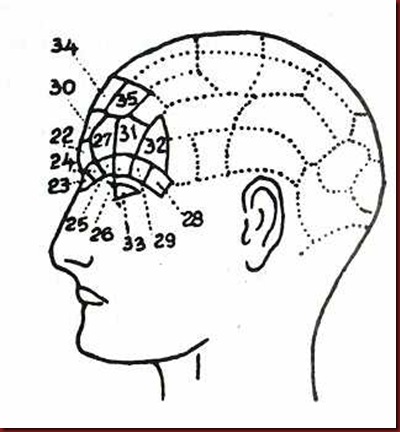 Craniologia 07