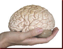 Enem lavagem cerebral Enem lavagem cerebral