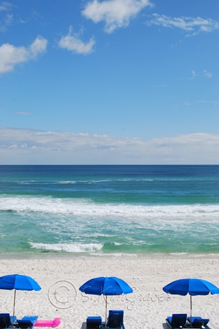 [carillonbeachchairs[4].jpg]