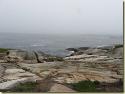 IMG_5794