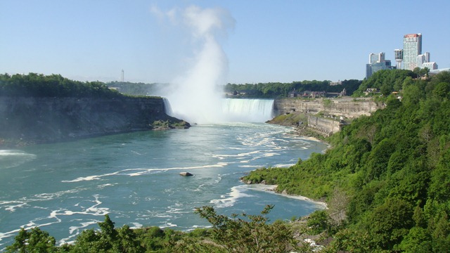 [DSC08861[3].jpg]