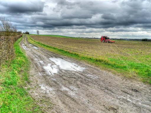 P1060538_6_7_tonemapped.JPG