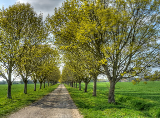 P1080180_74_75_76_77_78_79_tonemapped.JPG