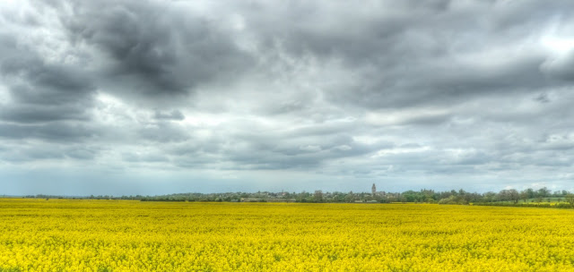 P1090496_0_1_2_3_4_5_tonemapped.jpg