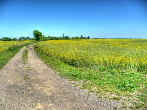 P1110685_79_80_81_82_83_84_tonemapped.JPG