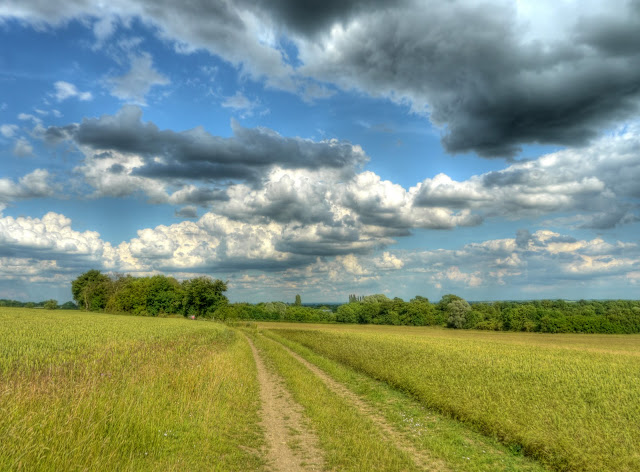 P1130894_88_89_90_91_92_93_tonemapped.jpg