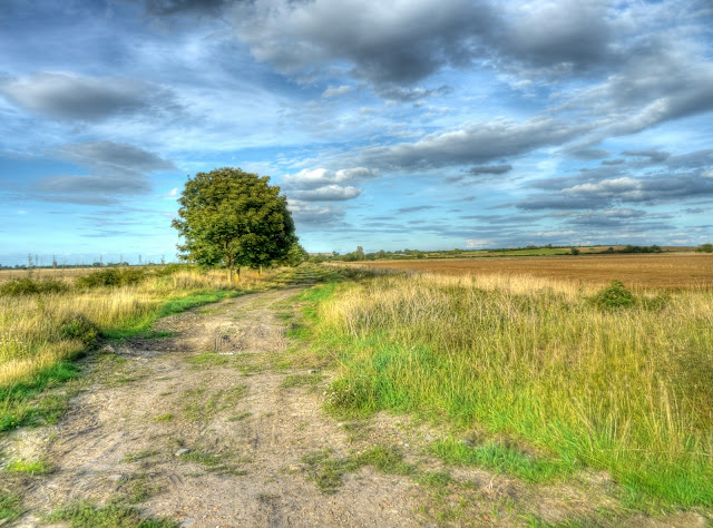 P1160852_3_4_5_6_7_8_tonemapped.jpg