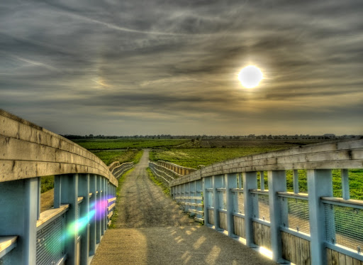 P1180641_35_36_37_38_39_40_tonemapped.JPG