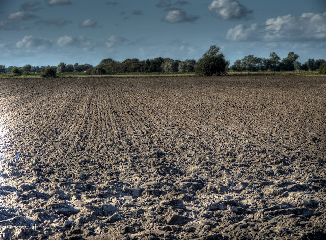 P1190156_57_58_59_60_61_62_tonemapped.jpg