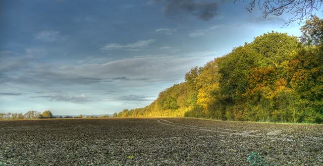 P1200605_06_07_08_09_10_11_tonemapped.jpg