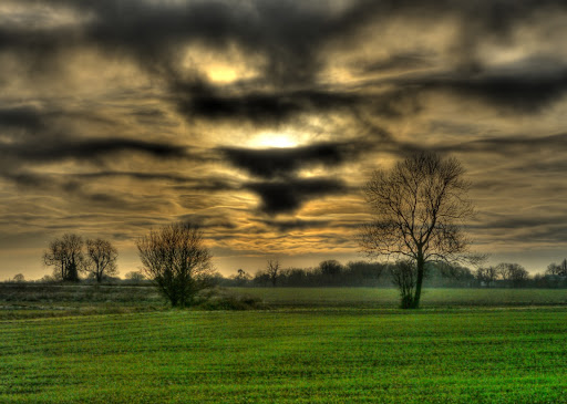 busy bees mildenhall