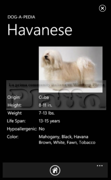 [dogapedia1[3].jpg]