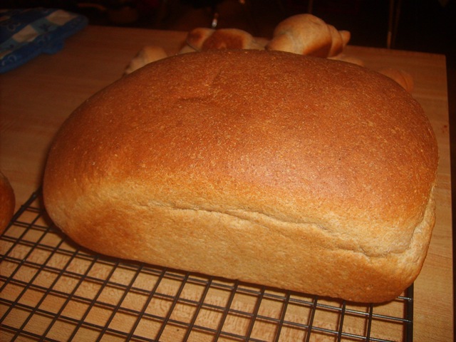 [January2010Food0102.jpg]