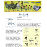 coop scoop