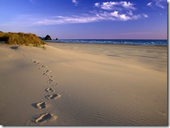 footsteps_on_beach_1024x768(2)
