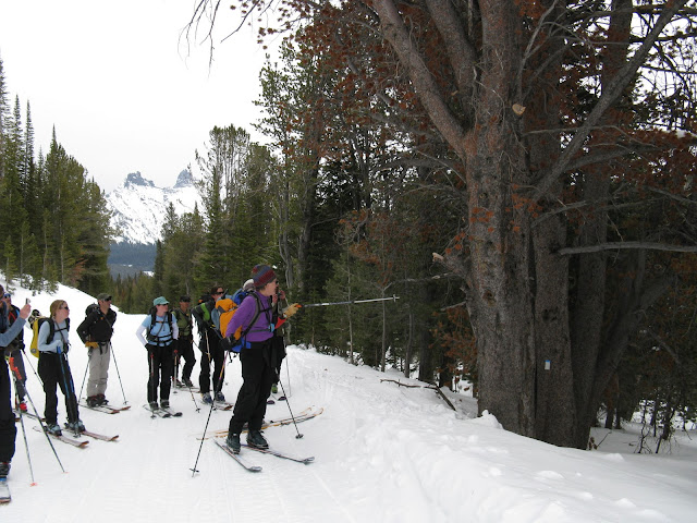 Whitebark pine workshop participants and dead tree