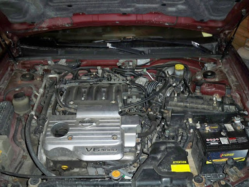 http://lh4.ggpht.com/_bPcbild_wyQ/S2zuSn59gSI/AAAAAAAABBo/G0W53dtugTU/100_0400.JPG