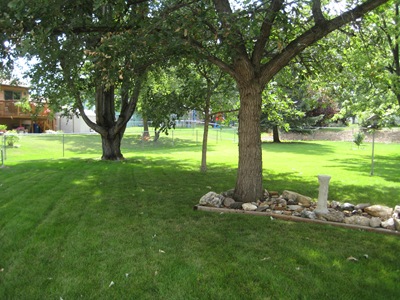 IMG_5806 IMG_5806