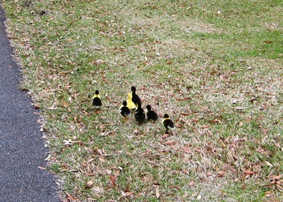IMG_6583 IMG_6583