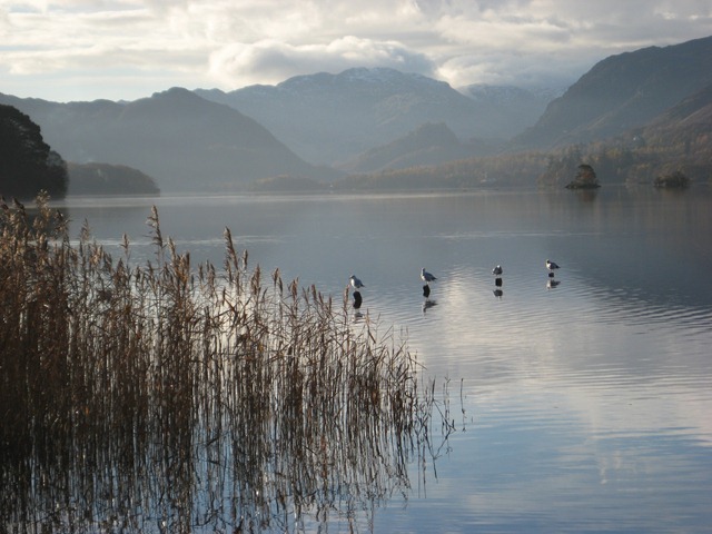 [lakes Nov 2010 007[2].jpg]