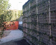 barriera antirumore vegetale 1 barriera antirumore vegetale 1