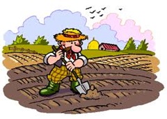 agricolo agricolo