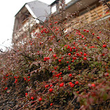 Frieburg (2007-02)
