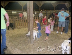 Petting Zoo