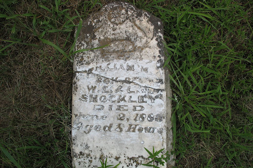 william bradford shockley