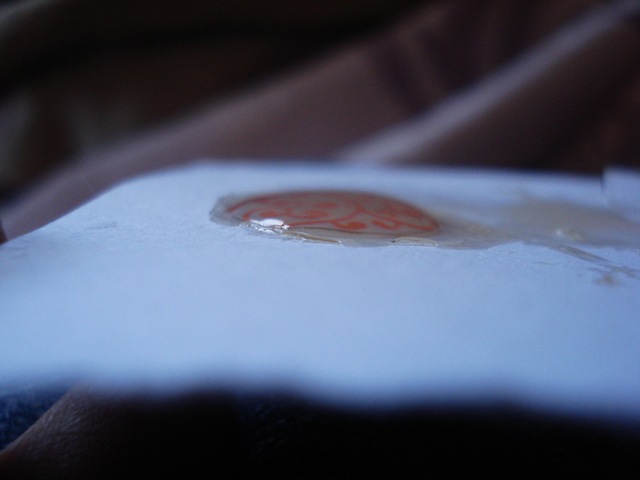 [DSC061952.jpg]