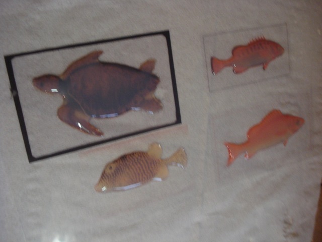 [DSC062191.jpg]