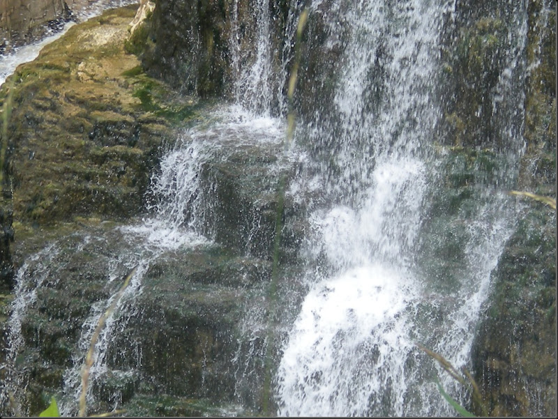 DSCN2351