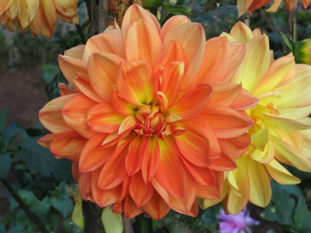 [Picture4174.jpg]