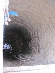 IMG_1868 IMG_1868