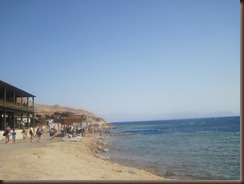 IMG_2222 IMG_2222