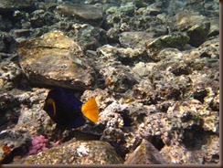 IMG_2475 IMG_2475