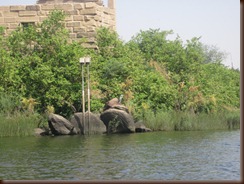 IMG_3068 IMG_3068