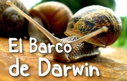 El Barco de Darwin
