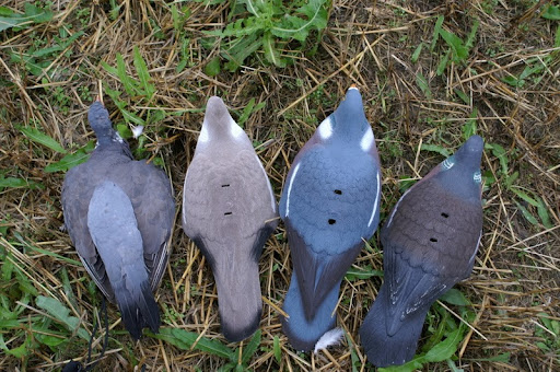 Kyyhkynkuvat