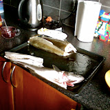Los pescados pequeños, el unico pescado grande (no esta en esta foto) lo cogio la hermana pequeña de Michelle (Helene).<br />
The fish we got, the only big one (not in this picture) was fished by Michelle's little sister.