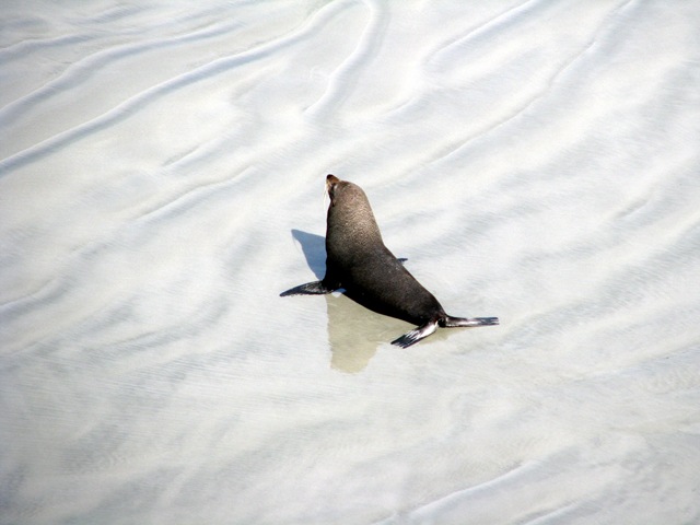 [IMG_13463.jpg]
