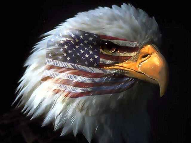 [american_eagle[3].jpg]