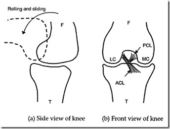 v13n2_kneefig1