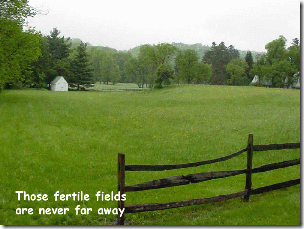 gview.png11