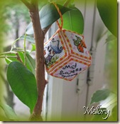 IMG_3529 IMG_3529