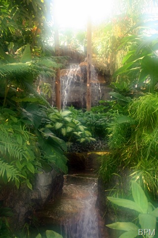 [climatron28.jpg]