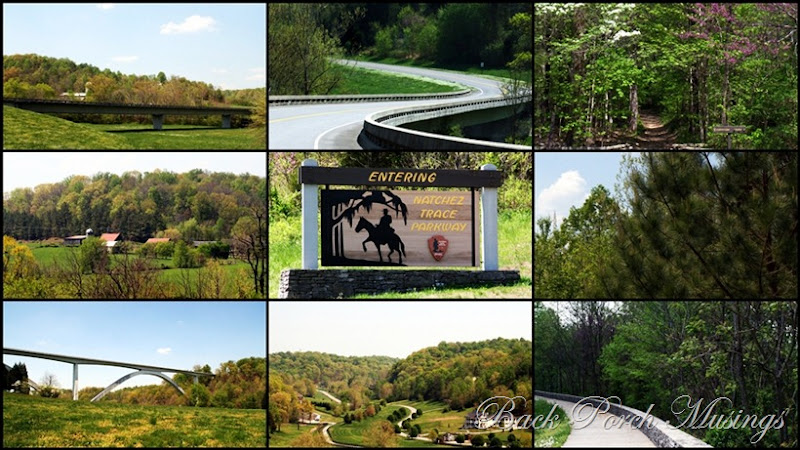 Natchez Trace