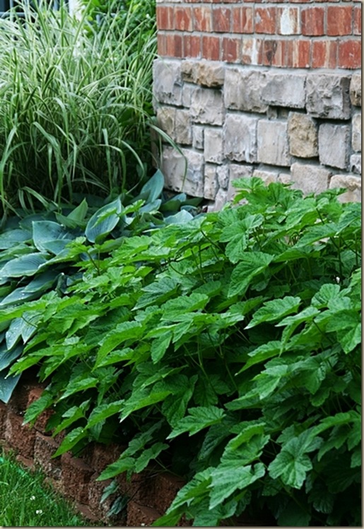 outdoors10