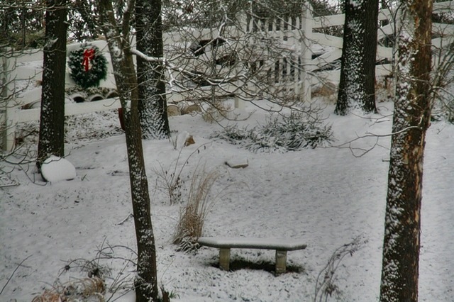 [snow7A9.jpg]