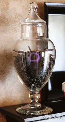 [Halloween Ideas - Spider in a Jar[2].jpg]